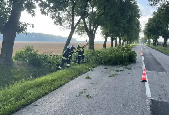 OSP Cielądź usuwała drzewo z drogi wojewódzkiej DW 707