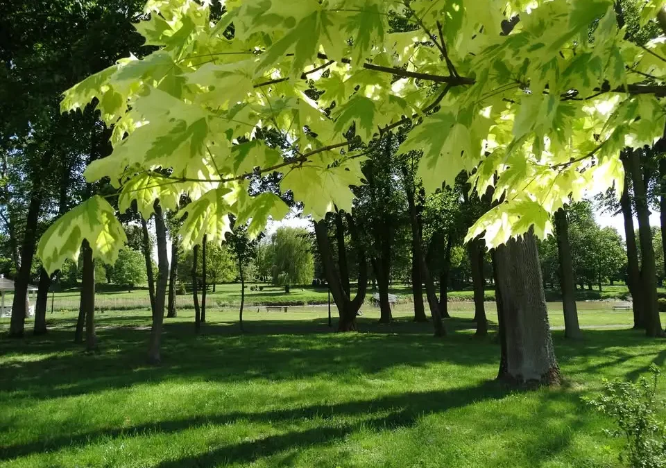 Upały w Łódzkiem: IMGW wydał ostrzeżenie 3. stopnia – nawet 37°C