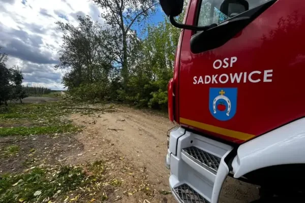 OSP Sadkowice usuwa powalone drzewo w Turobowicach