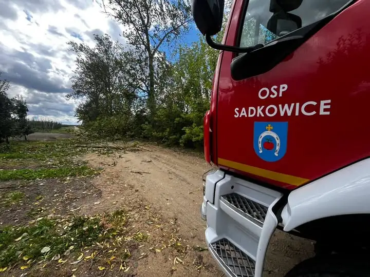 OSP Sadkowice usuwa powalone drzewo w Turobowicach