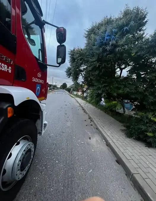 OSP Sadkowice usuwa pochylone drzewo z jezdni