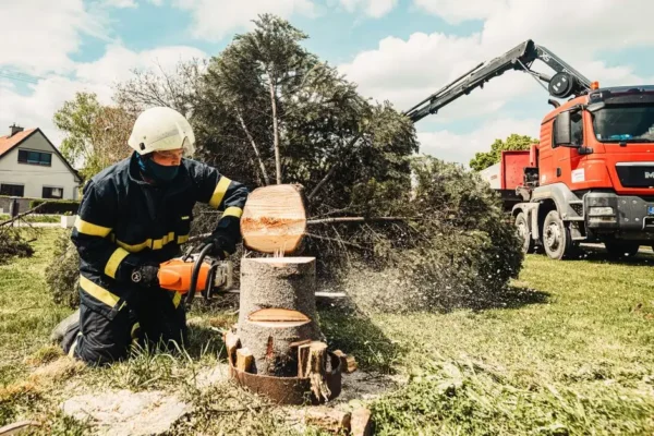 Interwencja w Cielądzu: usuwanie nadłamanej gałęzi