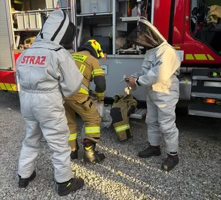 Szerszenie w domu jednorodzinnym. Interwencja OSP Rzeczyca